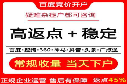 百度竞价广告成功案例：如何快速提升品牌曝光度
